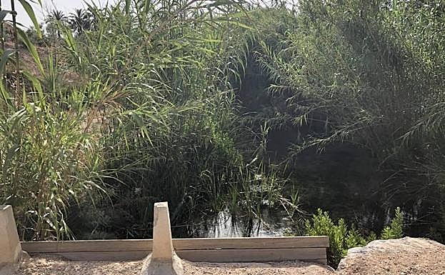 1. Estado inicial del cauce del río Chícamo dominado por el cañaveral.