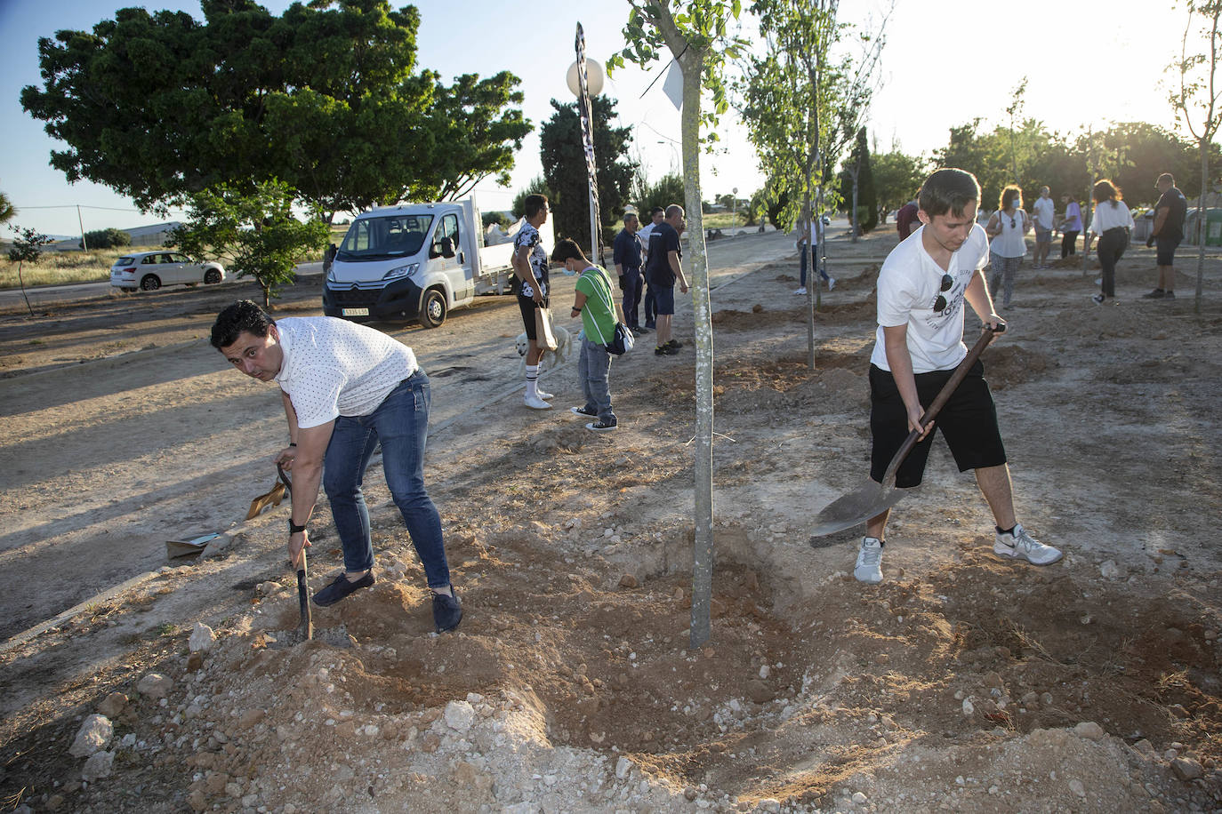 Fotos: Sonidos que dan árboles