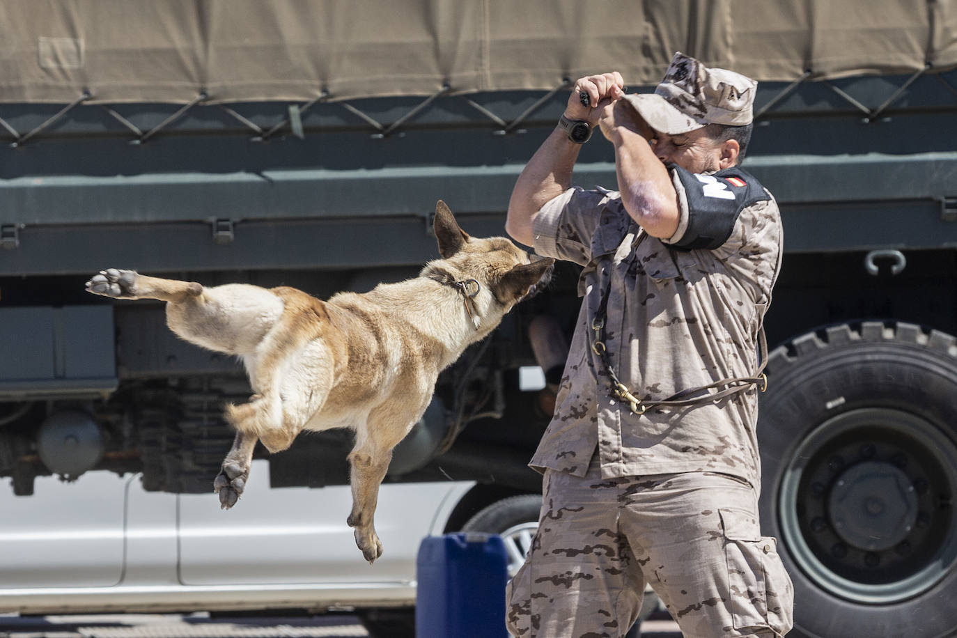 Fotos: Cartagena celebra el Día de las Fuerzas Armadas 2022