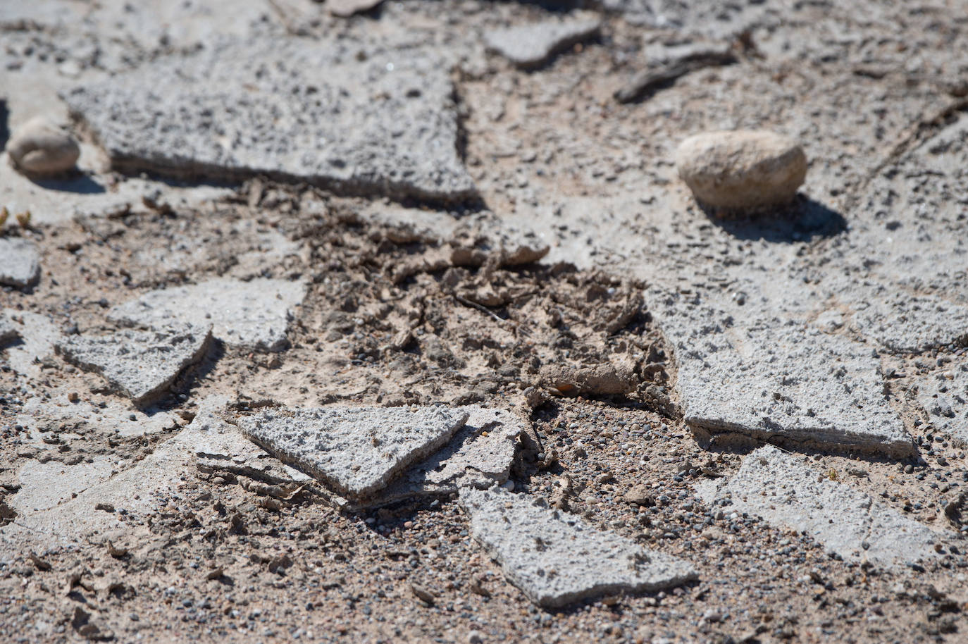 Fotos: Salvan de la ruina las Salinas Reales de Sangonera la Seca
