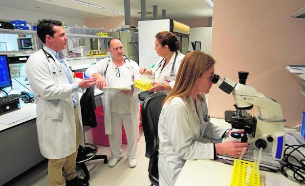 Francisco Vera, Onofre Martínez, Josefina García y una técnico, en el laboratorio de análisis del Hospital Santa Lucía, en una imagen de archivo.