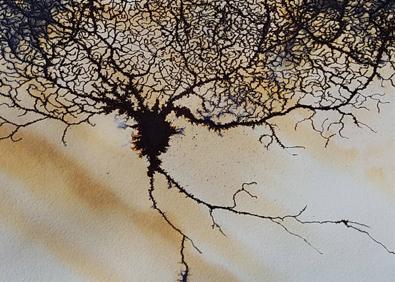 Imagen secundaria 1 - Paisajes abstractos que verían enfermos con enfermedades neurodegenerativas. 