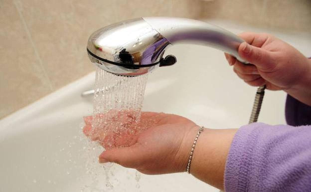 auditoría estimular doblado Con este sencillo truco el agua de tu ducha saldrá con más presión | La  Verdad