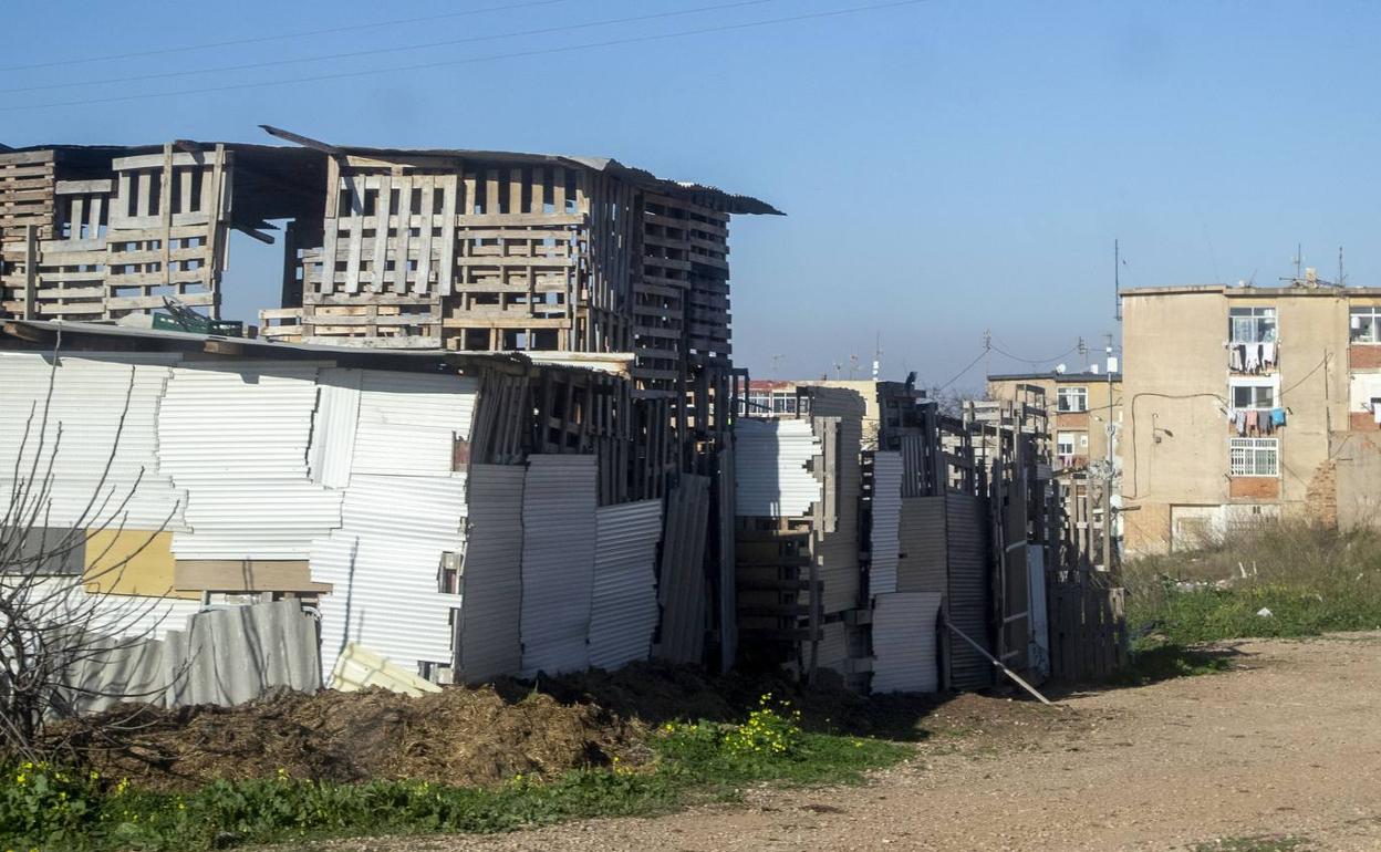 Chabolas en el barrio Lo Campano de Cartagena en una imagen de archivo. 