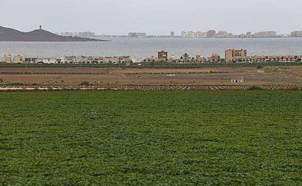 Cultivos de regadío junto al Mar Menor en una imagen de archivo. 