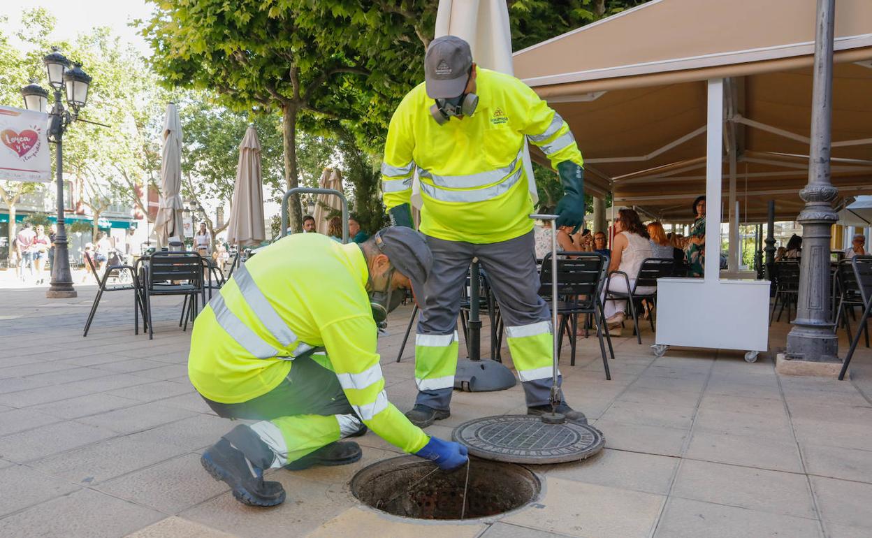Actuación en la red de alcantarillado de la plaza de Calderón para el control de plagas de roedores y cucarachas.