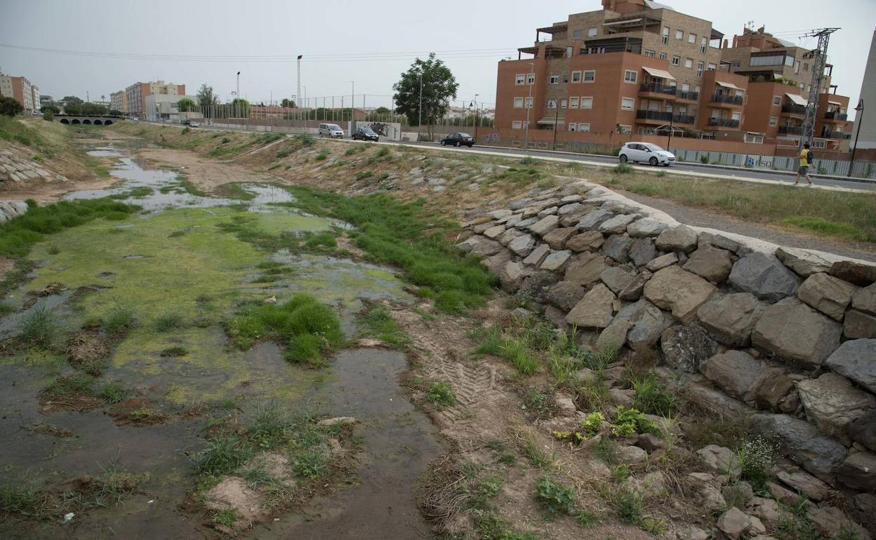 Agua estancada en la rambla de Los Dolores, junto a la Urbanización Mediterráneo, esta semana. 