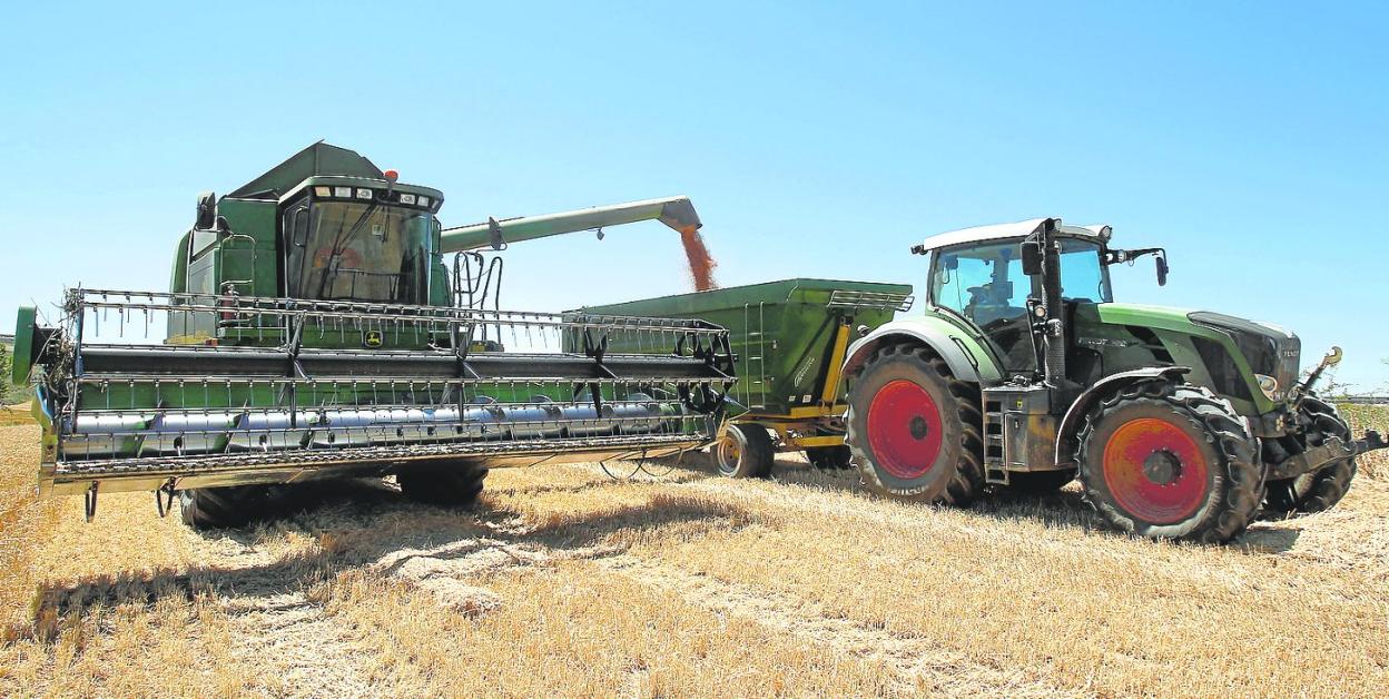 Una cosechadora descarga trigo sobre el remolque de un tractor. 