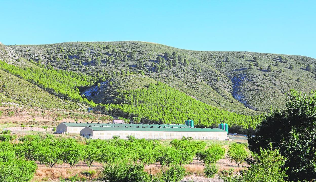 Cerro Tornajo, bajo el que se sitúa una explotación ganadera industrial que, según los vecinos, es ilegal. 
