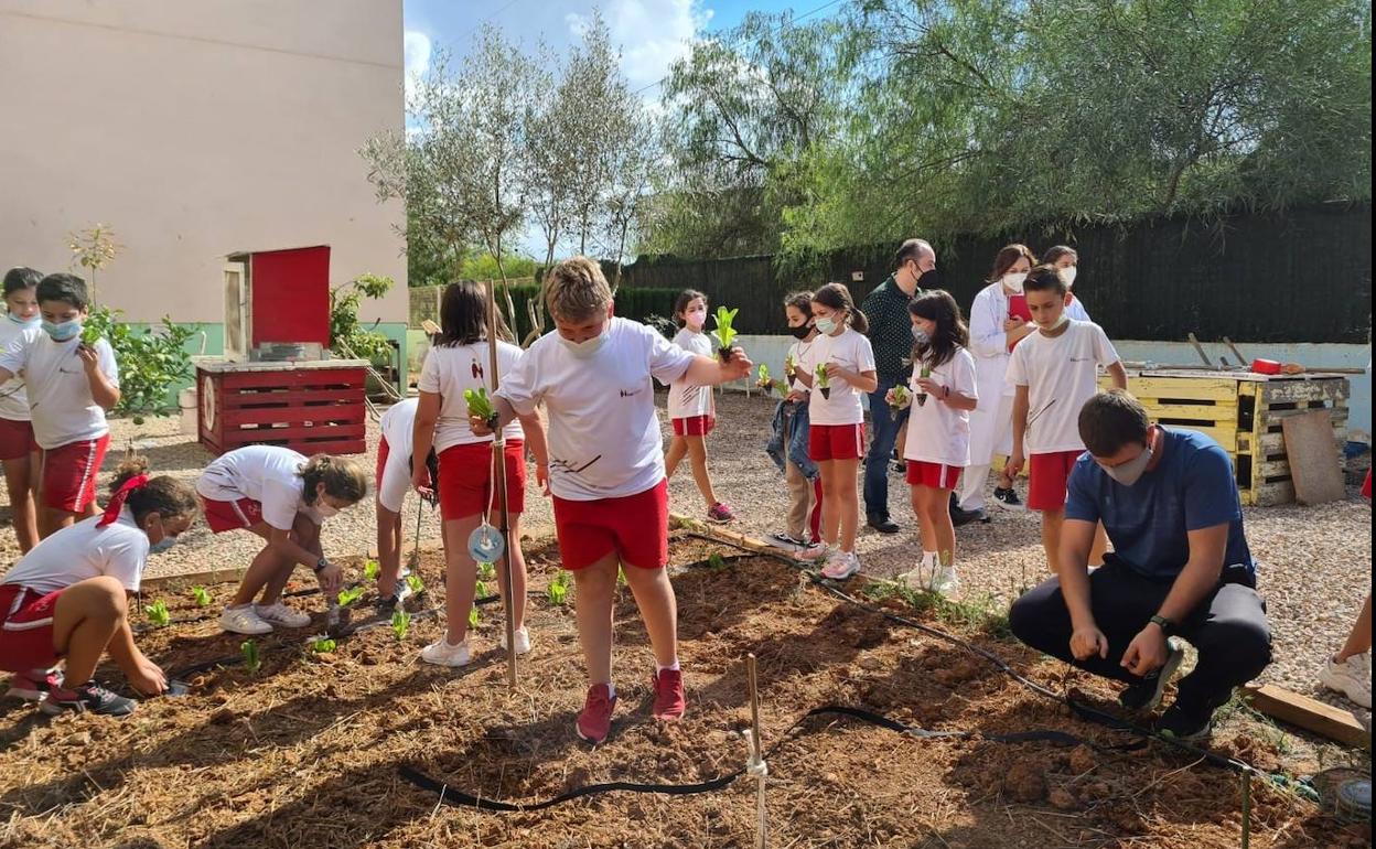 Alumnos de Primaria del colegio Miralmonte de Cartagena trabajan en el huerto escolar.