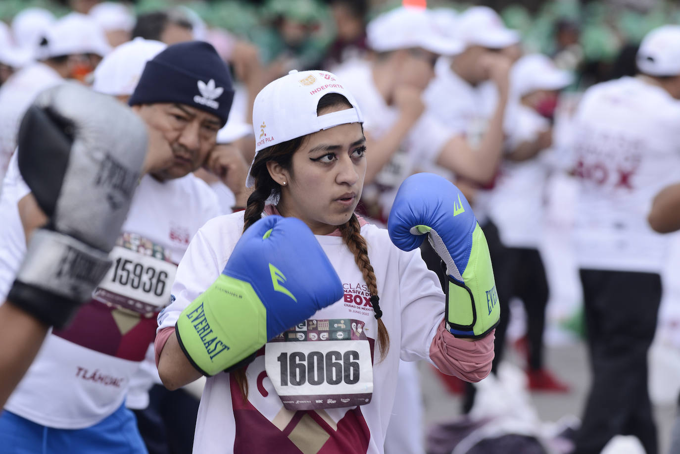 Fotos: Boxeo de récord