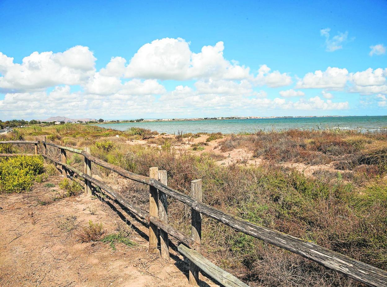 Imagen de la franja costera del Mar Menor que ocupa el humedal del Carmolí, en el término municipal de Cartagena. 
