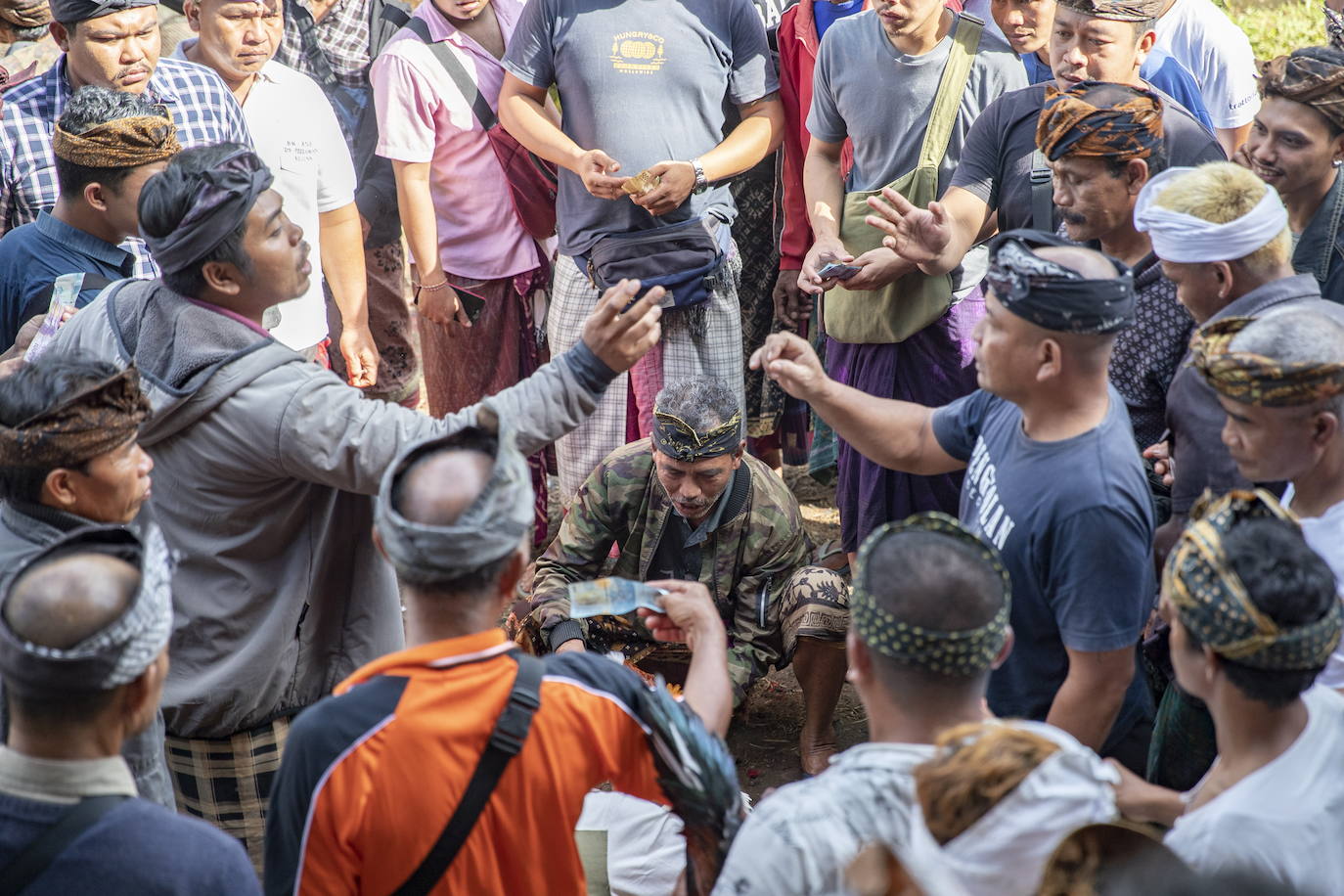 Fotos: Peleas de gallos en Bali