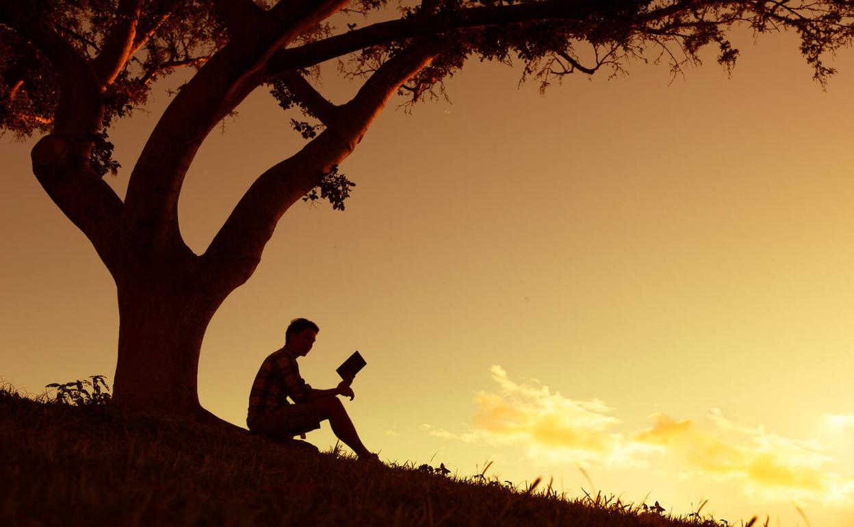 Los 8 libros ideales para meter en tu maleta estas vacaciones de verano