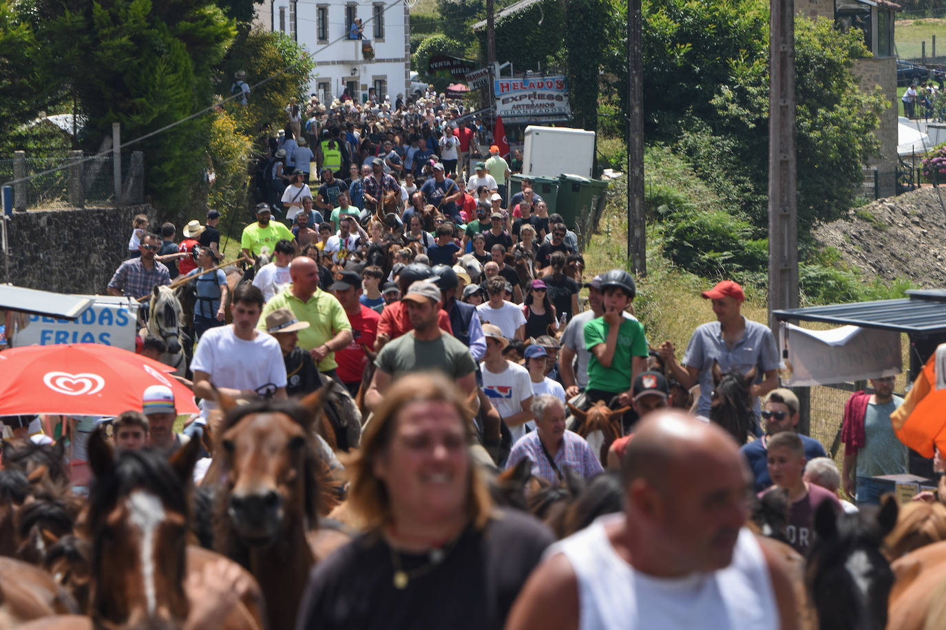 Fotos: Rapa das Bestas 2022
