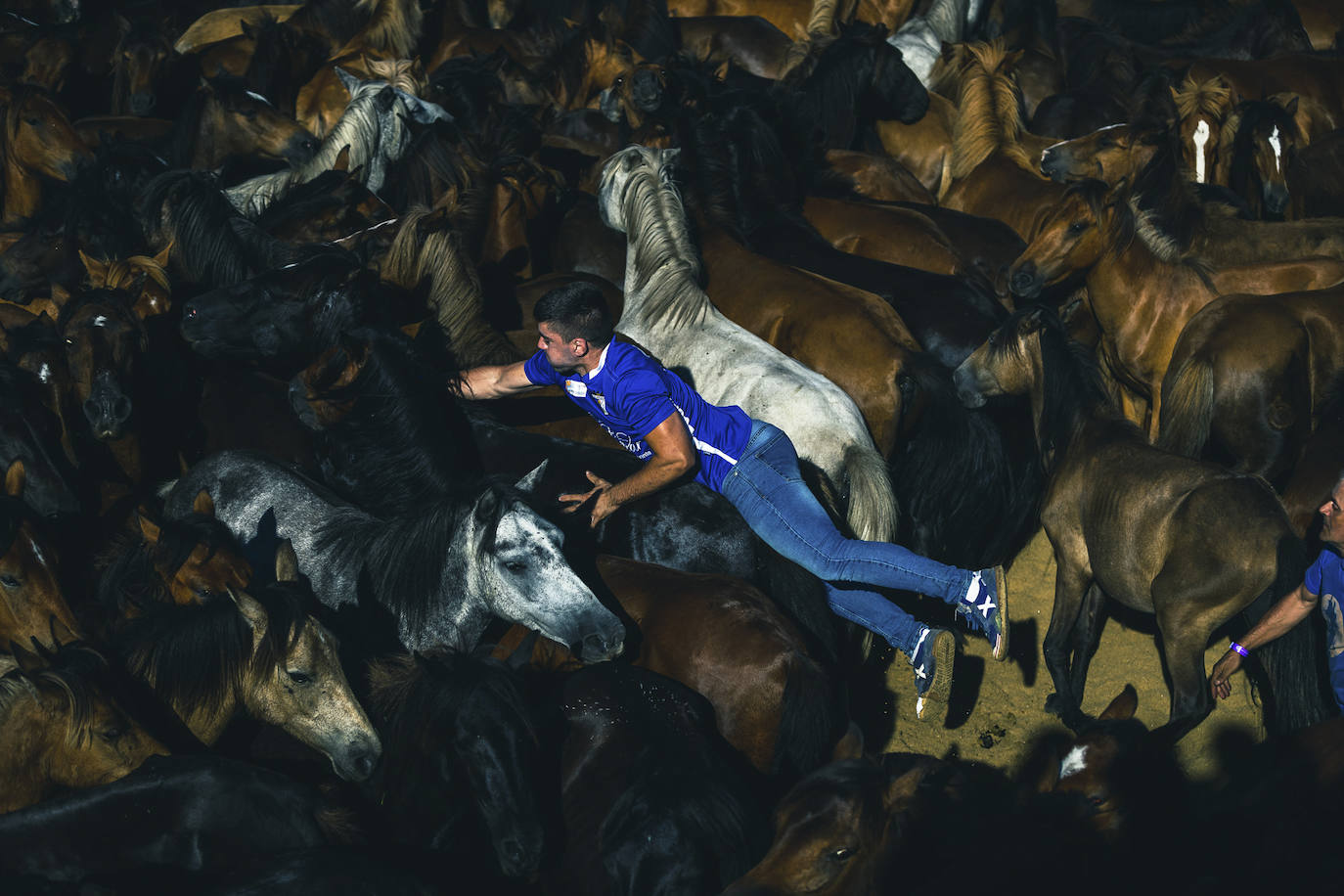 Fotos: Rapa das Bestas 2022