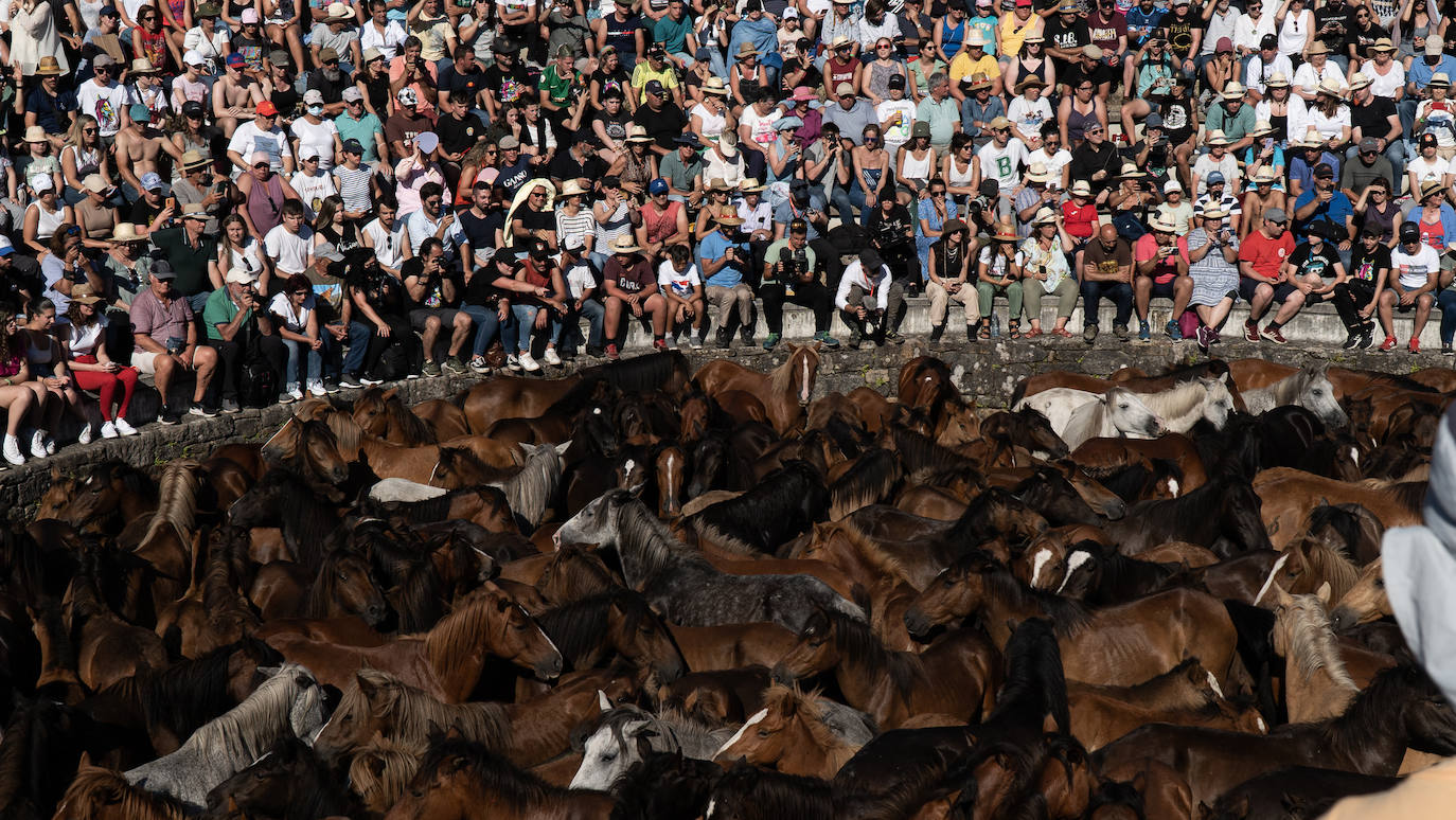 Fotos: Rapa das Bestas 2022