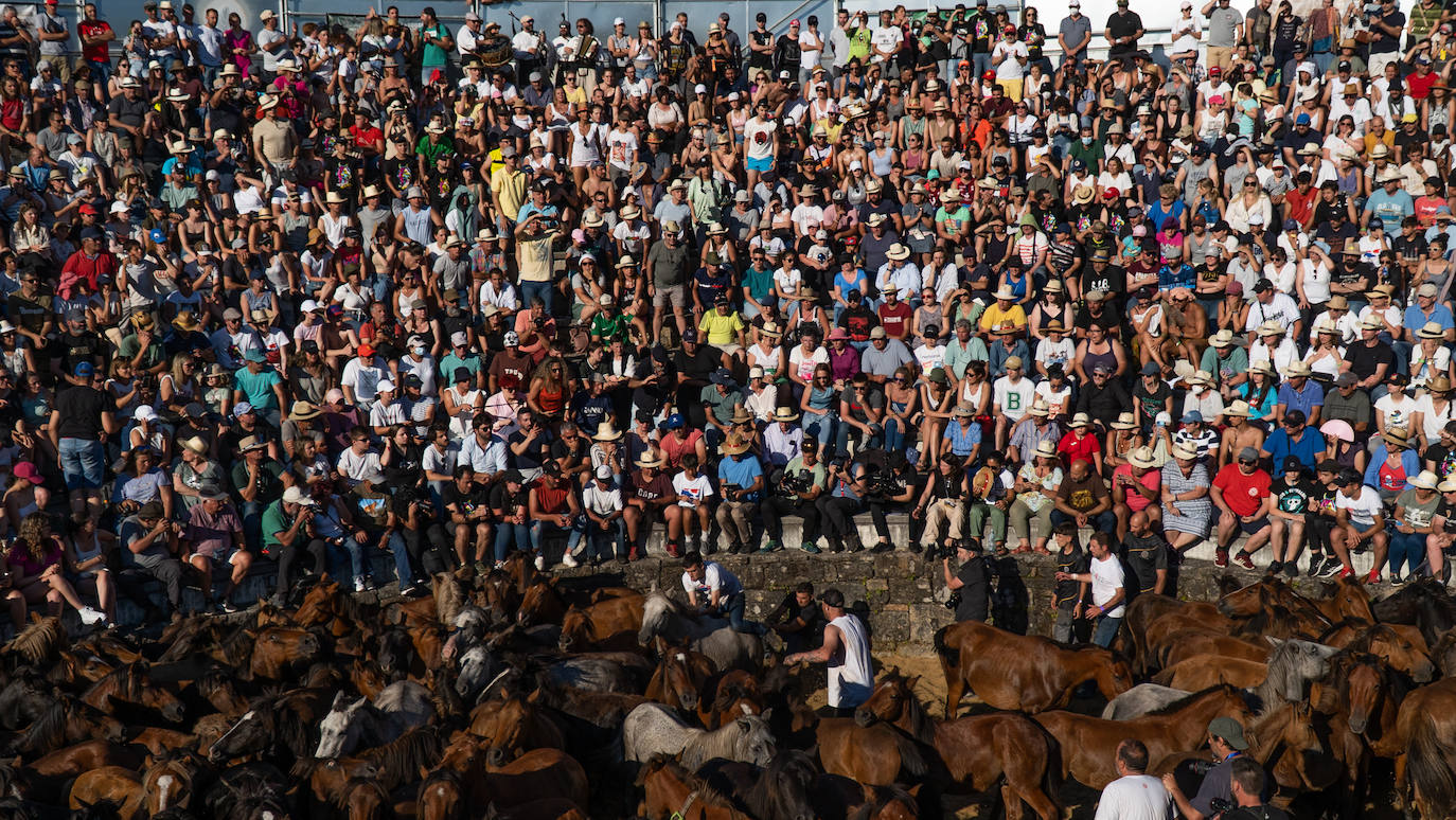 Fotos: Rapa das Bestas 2022