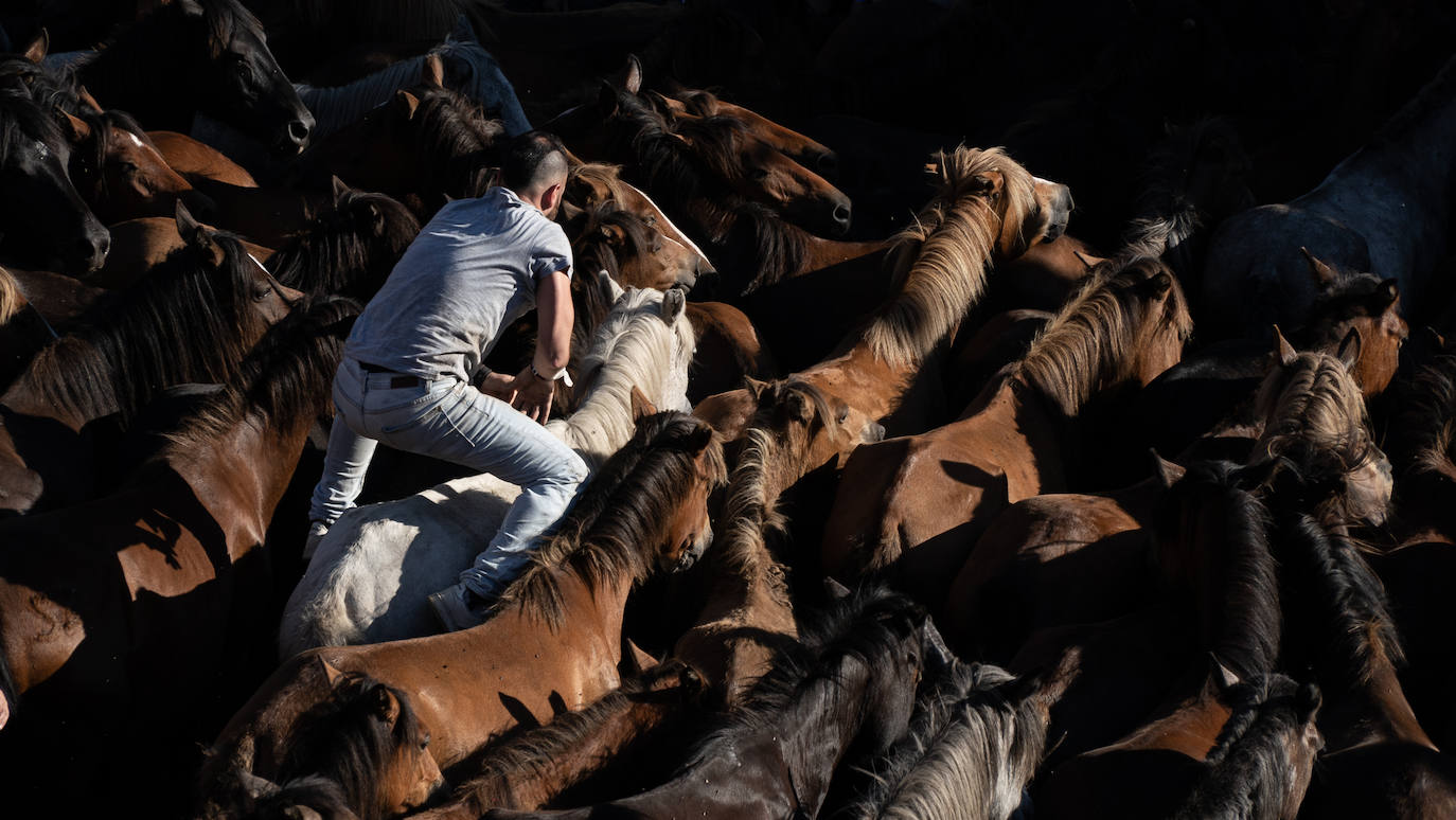 Fotos: Rapa das Bestas 2022