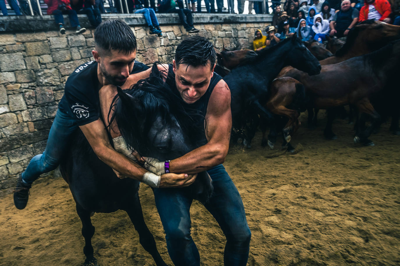 Fotos: Rapa das Bestas 2022
