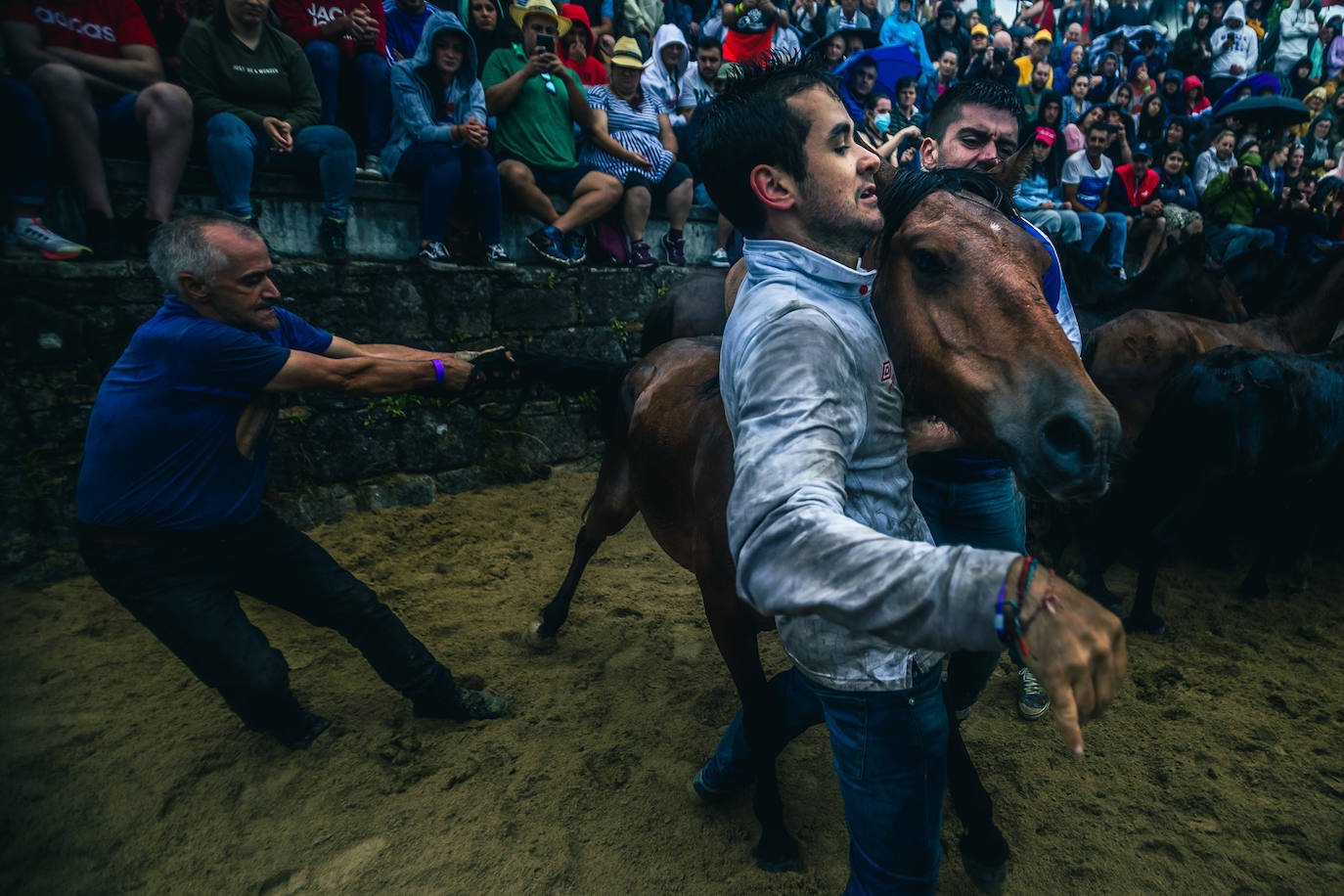 Fotos: Rapa das Bestas 2022