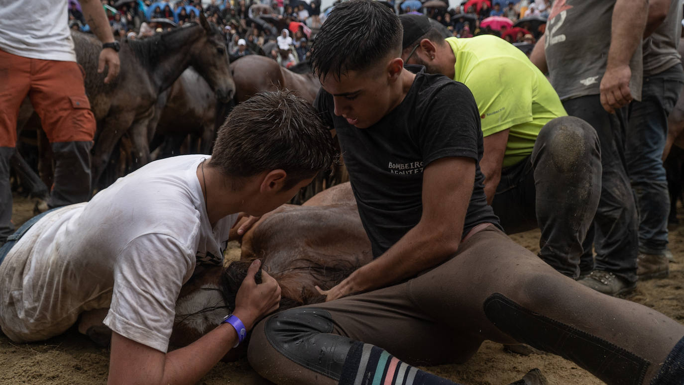 Fotos: Rapa das Bestas 2022