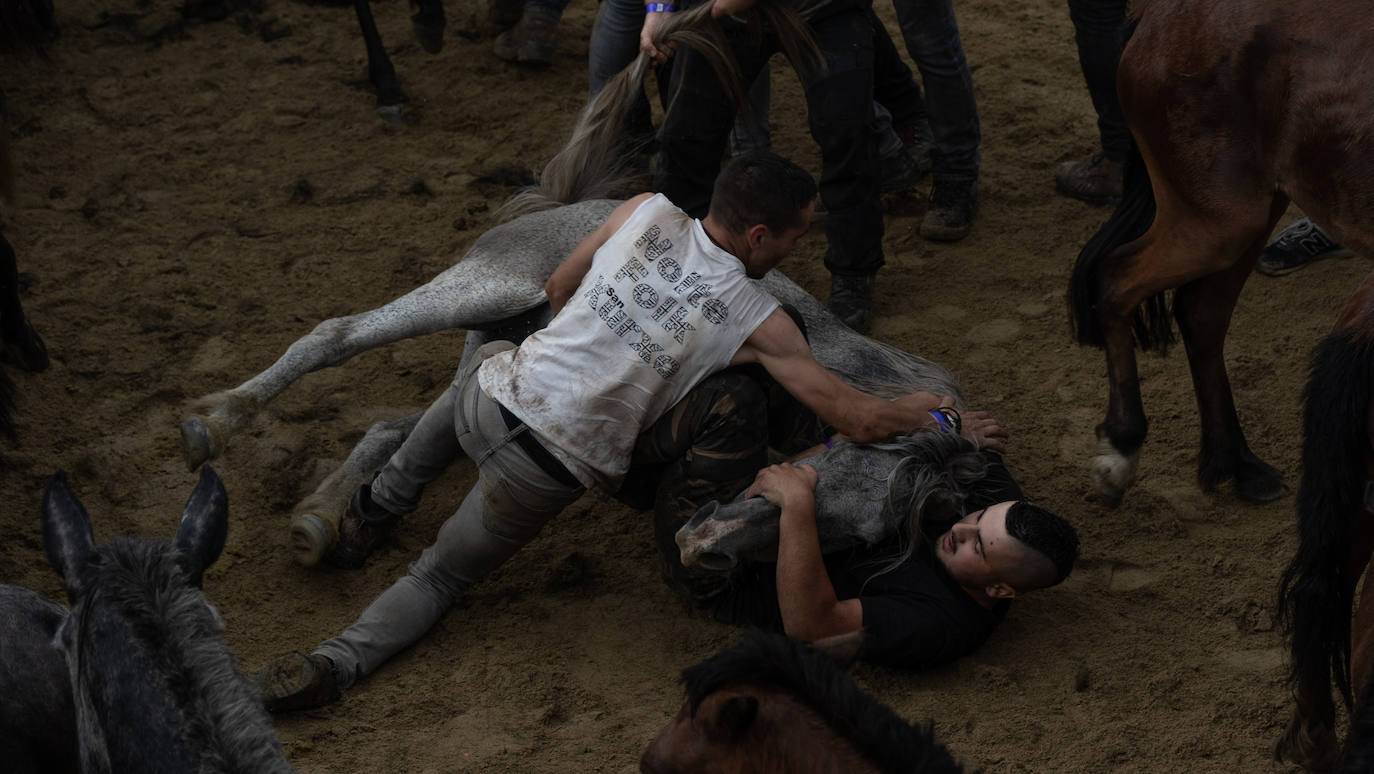 Fotos: Rapa das Bestas 2022