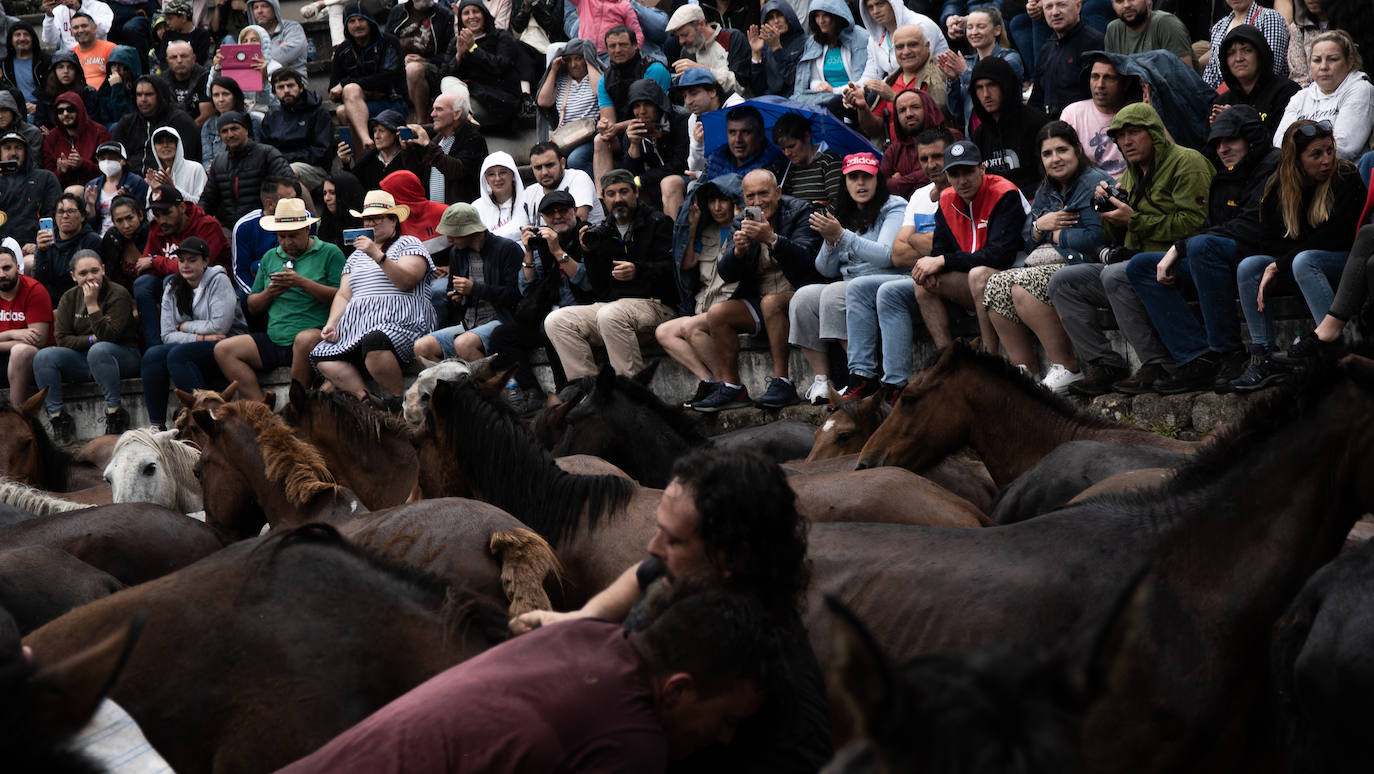 Fotos: Rapa das Bestas 2022