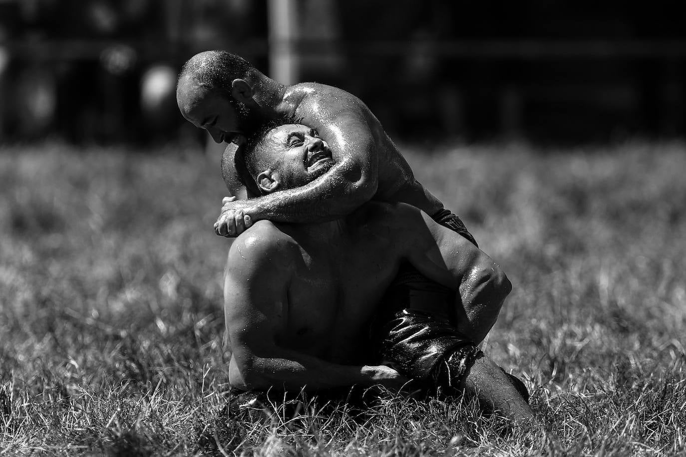 Fotos: Festival de lucha en Edirne