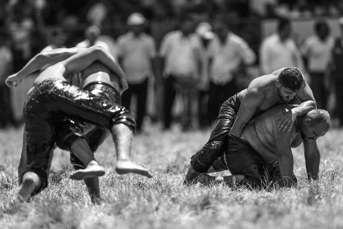Fotos: Festival de lucha en Edirne