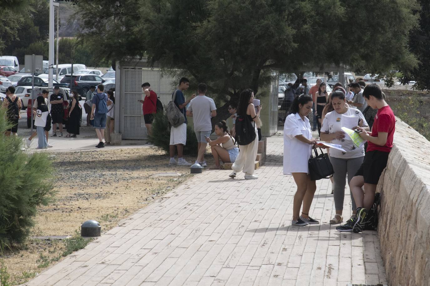 Fotos: Repesca de la Ebau en Murcia y Cartagena
