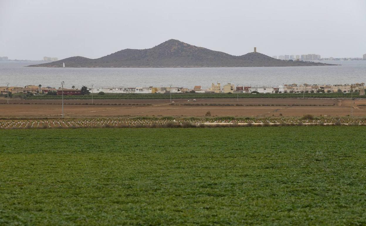 Explotación agrícola en el Campo de Cartagena, con el Mar Menor al fondo. 