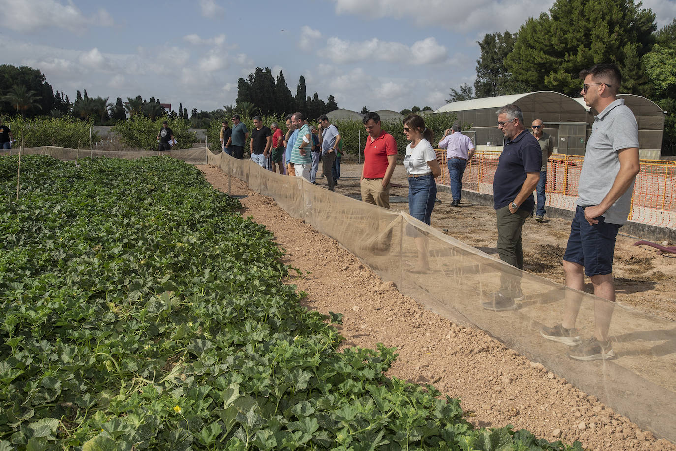 Los participantes en el curso, ante una parcela demostrativa para el control de riego, en Torre Pacheco.