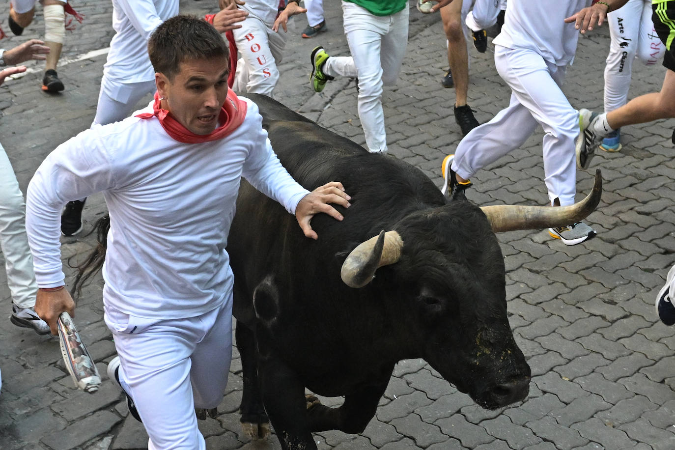 Los toros de la ganadería pacense de Jandilla a su paso por el tramo de Telefónica.