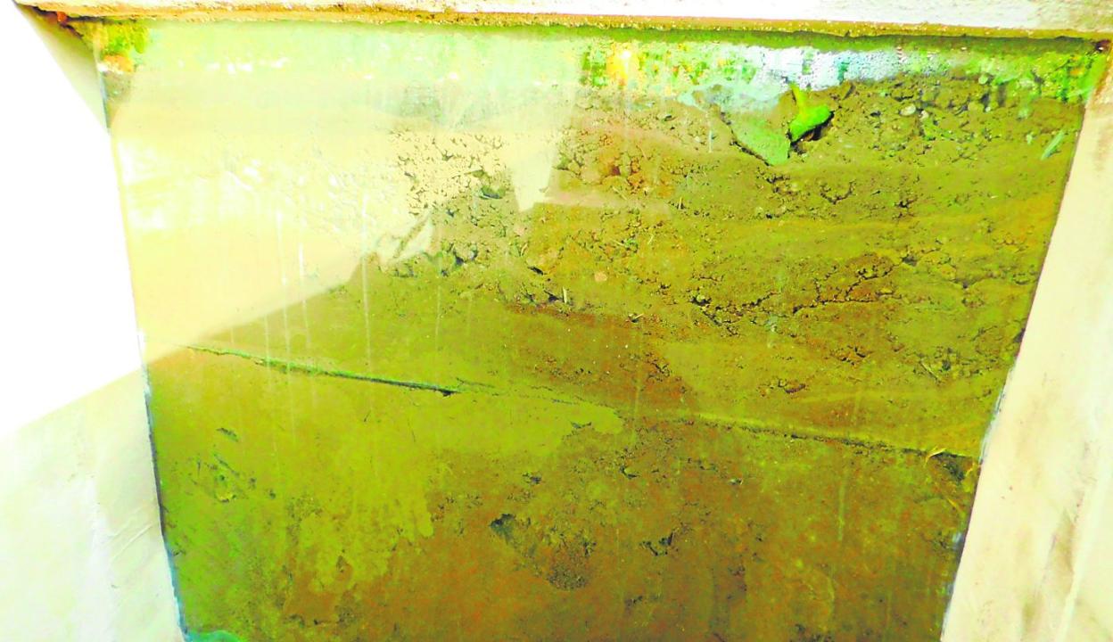 Acceso y vista de la instalación para seguimiento de riego en la finca piloto. 