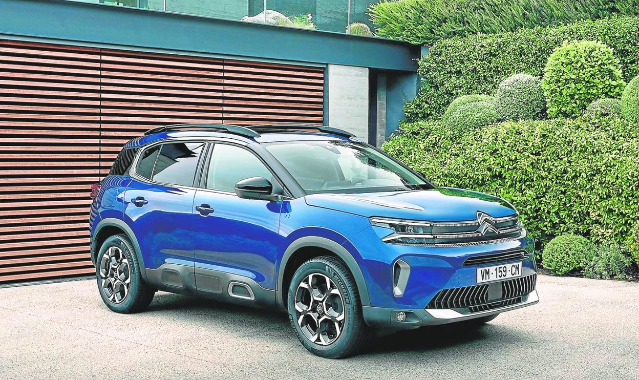 El nuevo perfil vertical y estructurado del frontal refuerza, desde el primer vistazo, la percepción de potencia y robustez. 