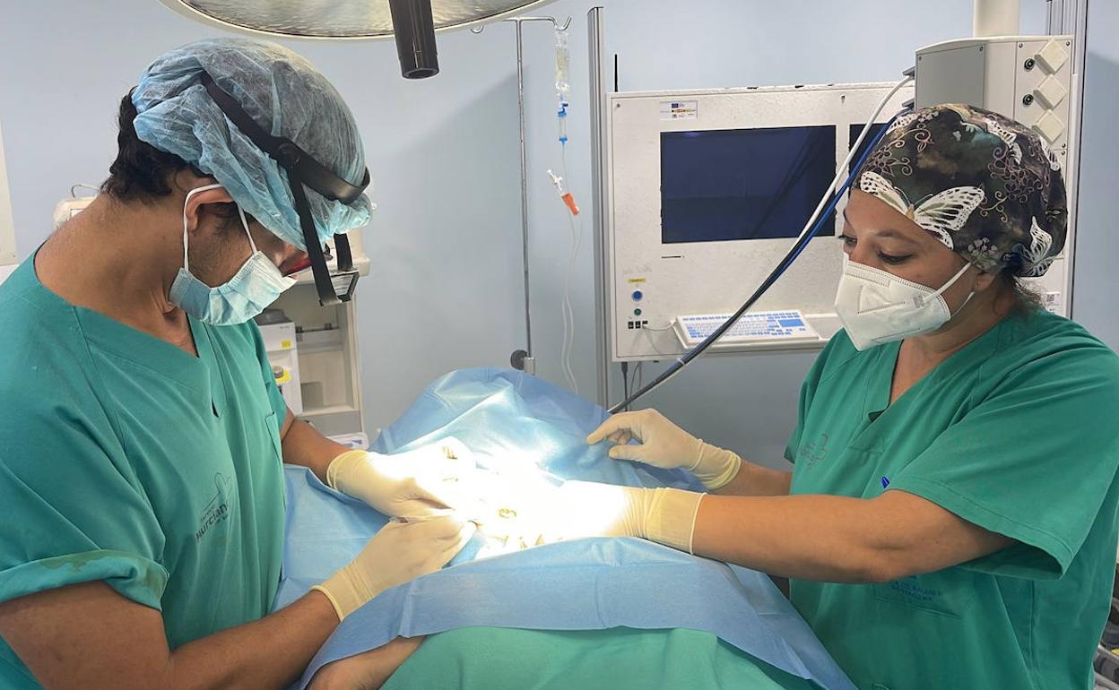 Realización de la cirugía de Mohs para el tratamiento del cáncer de piel.