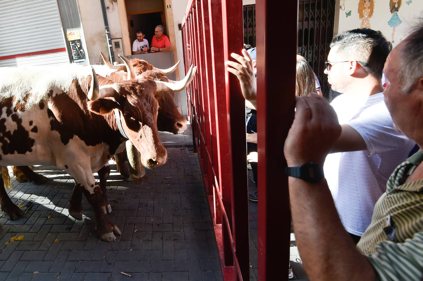 Fotos: Las imágenes del último encierro de Moratalla 2022