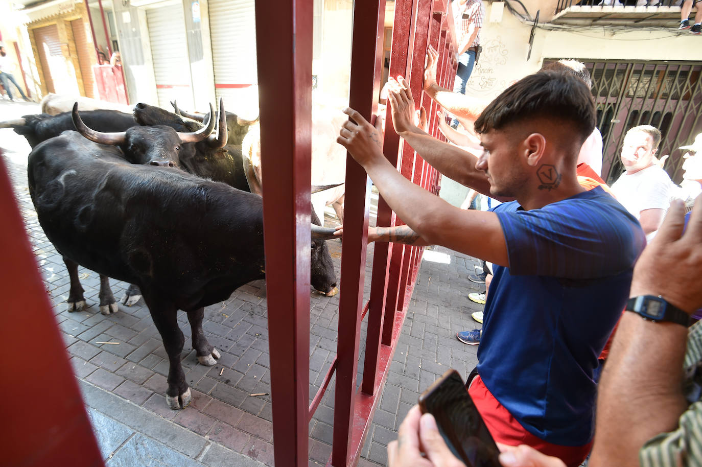 Fotos: Las imágenes del último encierro de Moratalla 2022