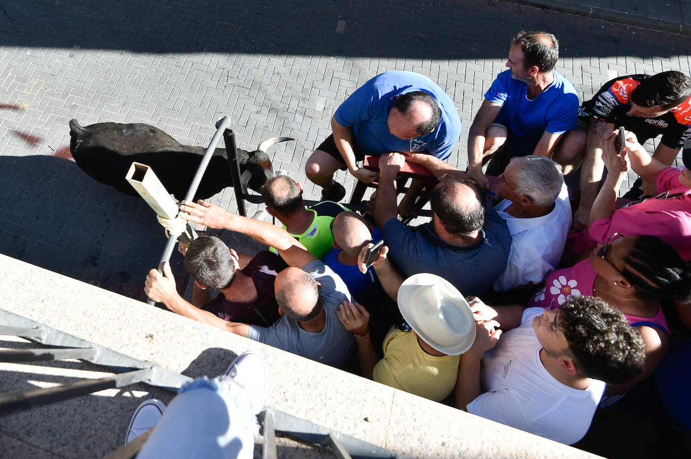 Fotos: Las imágenes del último encierro de Moratalla 2022