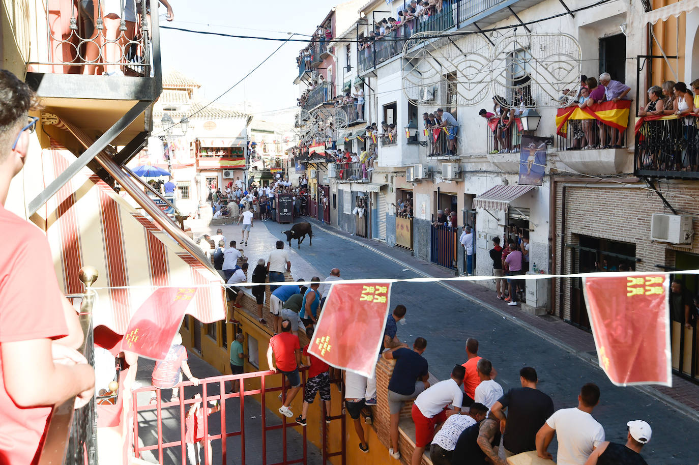 Fotos: Las imágenes del último encierro de Moratalla 2022