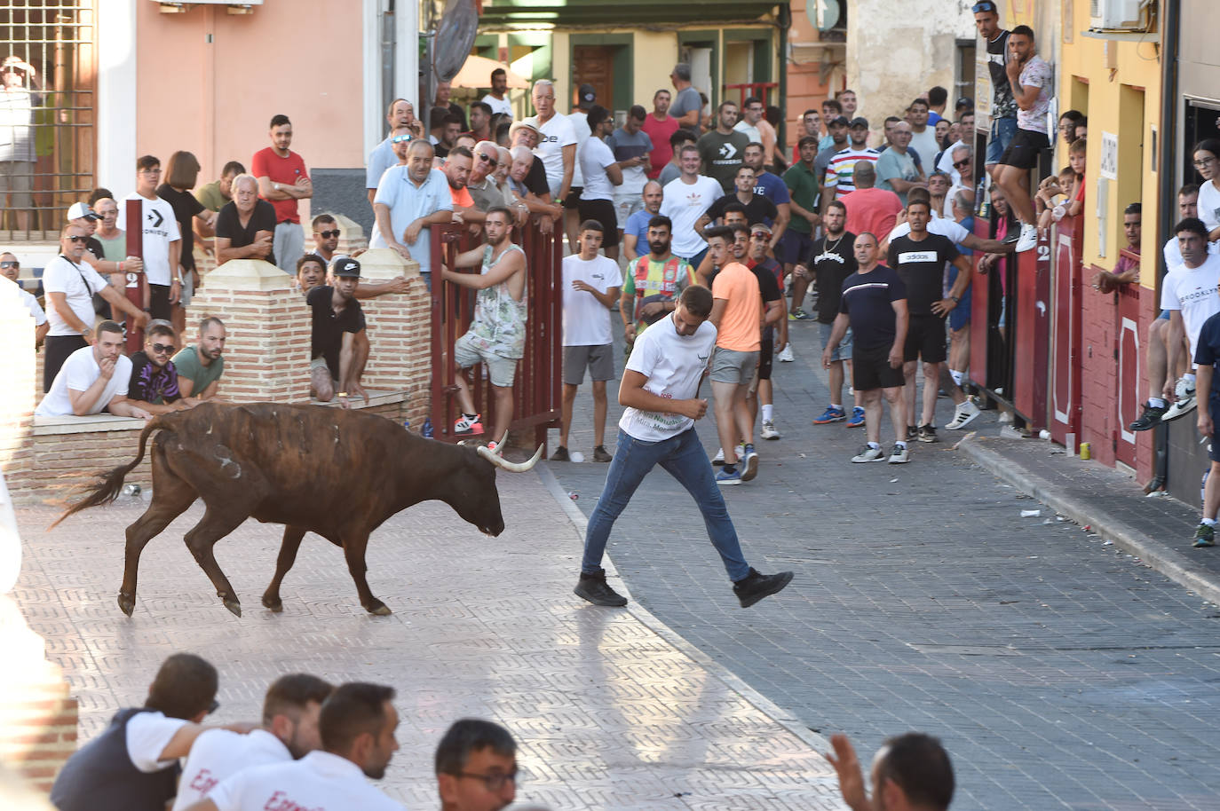 Fotos: Las imágenes del último encierro de Moratalla 2022