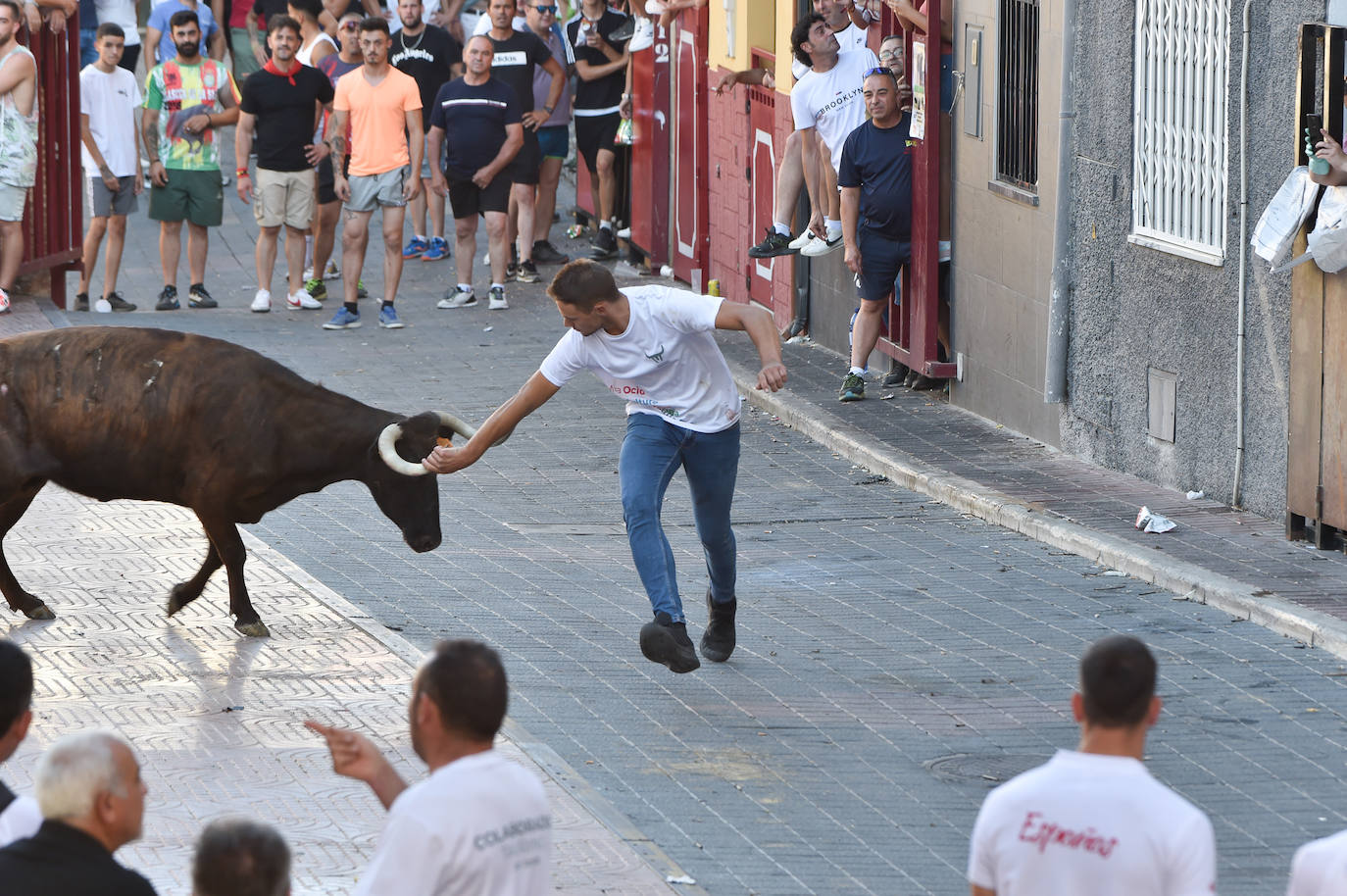 Fotos: Las imágenes del último encierro de Moratalla 2022