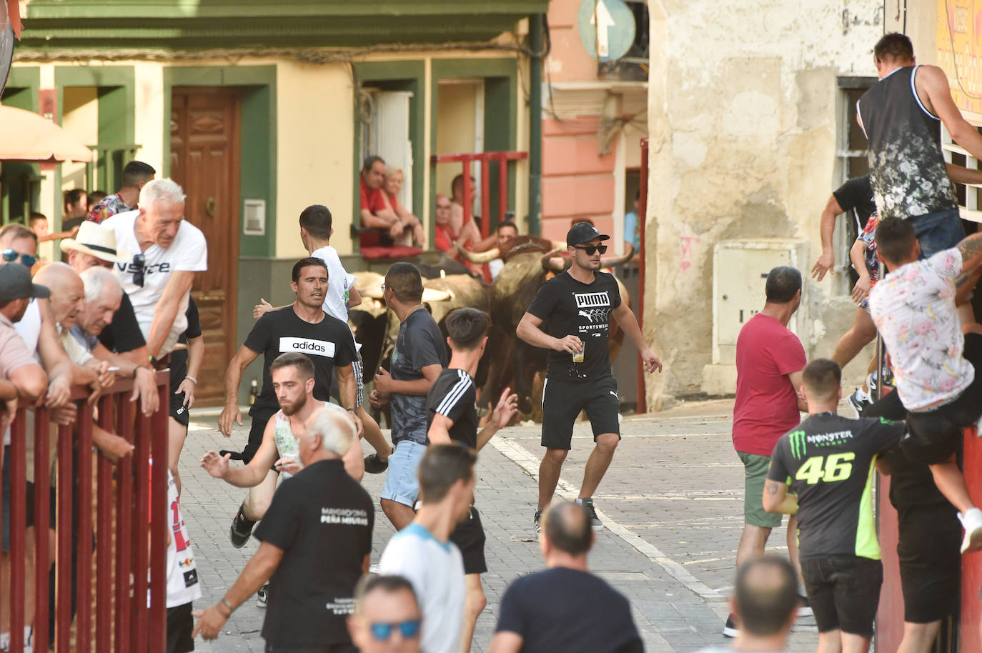 Fotos: Las imágenes del último encierro de Moratalla 2022