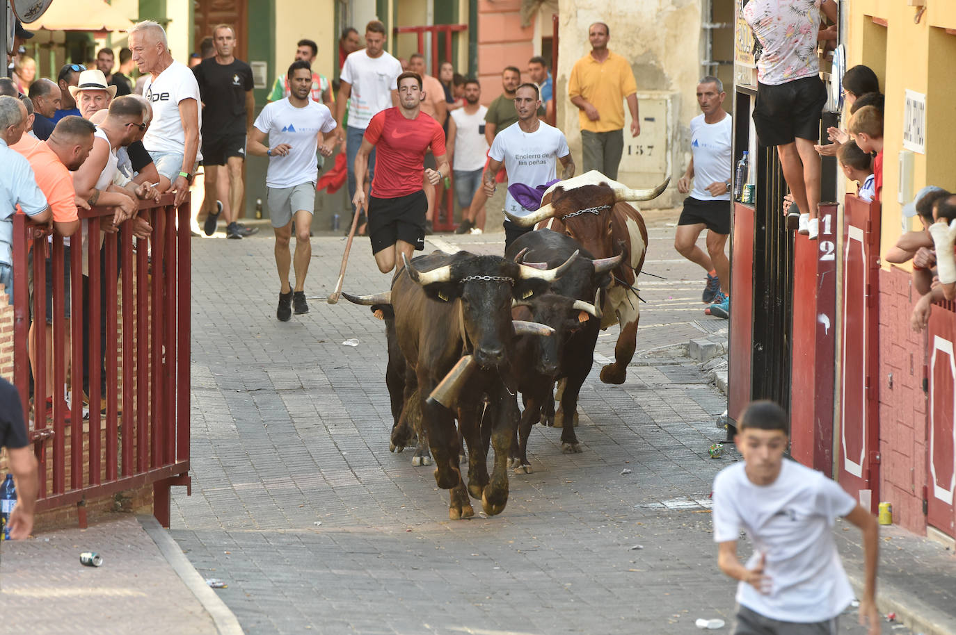 Fotos: Las imágenes del último encierro de Moratalla 2022