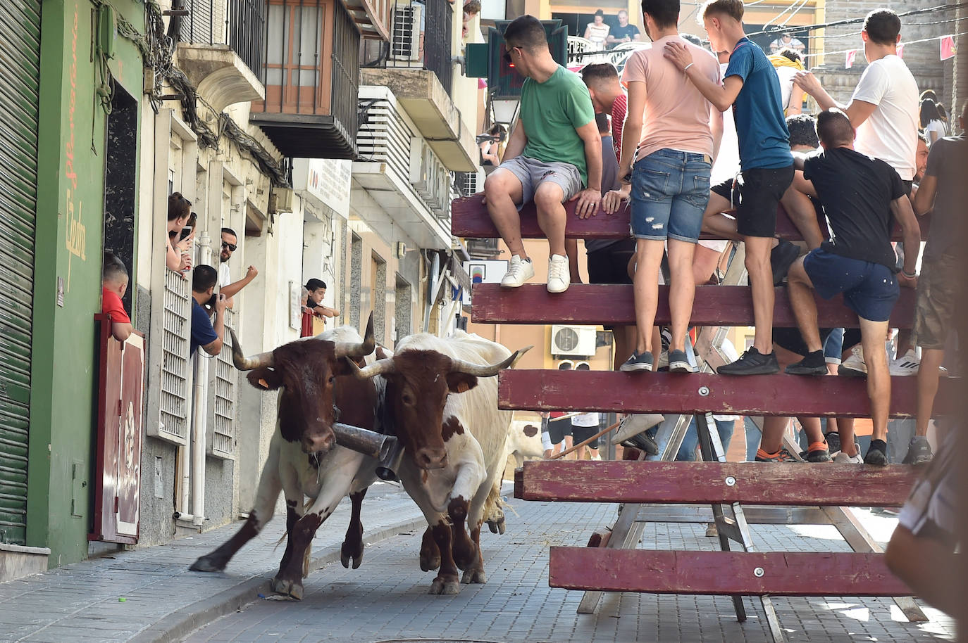 Fotos: Las imágenes del último encierro de Moratalla 2022