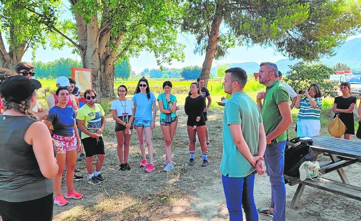 Voluntariado en el campo