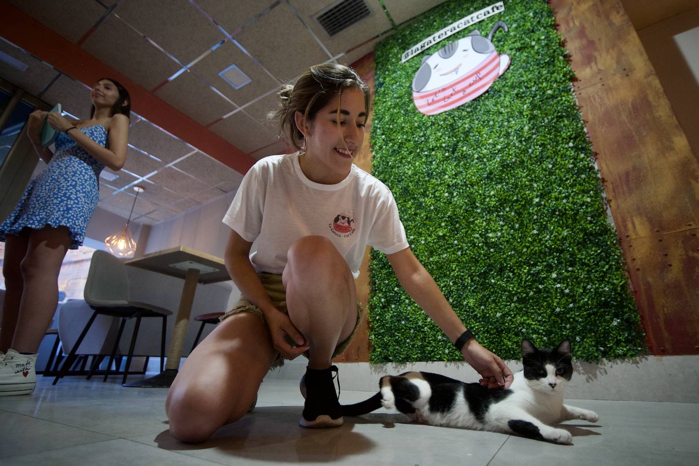 Fotos: La inauguración de la cafetería La Gatera de Murcia, en imágenes