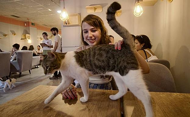 Una de las asistentes a la inguración de La Gatera, este jueves.