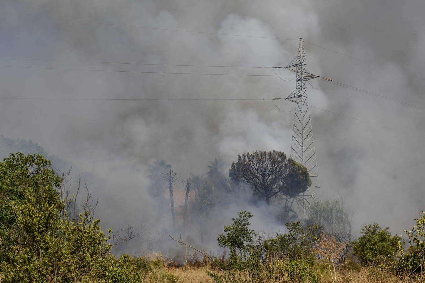 Fotos: Un incendio en un huerto se queda a las puertas del convento de Guadalupe
